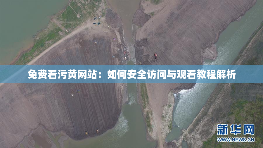 免费看污黄网站：如何安全访问与观看教程解析