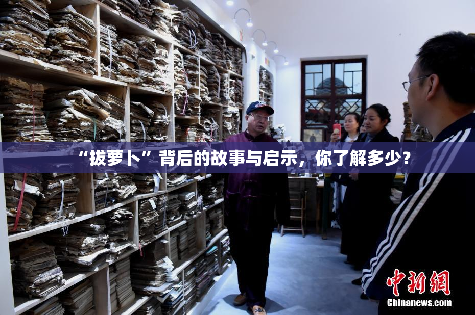 “拔萝卜”背后的故事与启示，你了解多少？