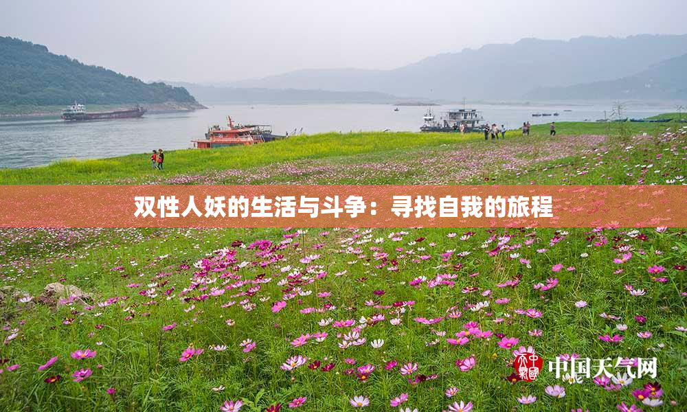 双性人妖的生活与斗争：寻找自我的旅程