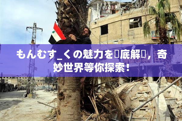 もんむす_くの魅力を徹底解説，奇妙世界等你探索！
