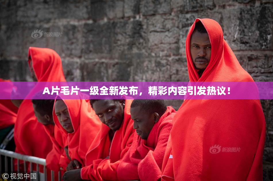 A片毛片一级全新发布，精彩内容引发热议！
