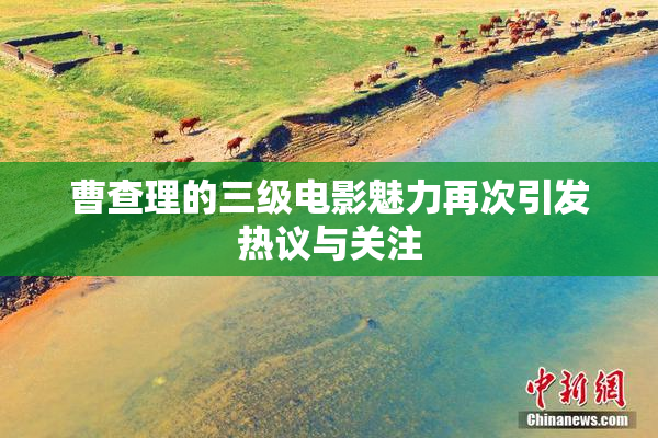 曹查理的三级电影魅力再次引发热议与关注