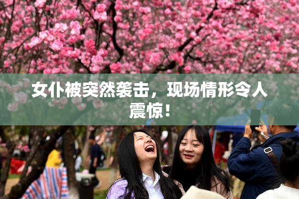 女仆被突然袭击，现场情形令人震惊！