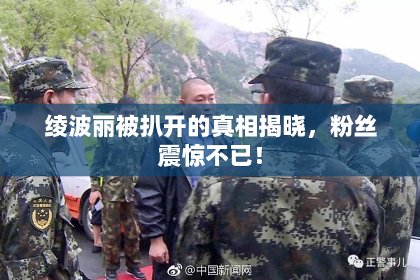 绫波丽被扒开的真相揭晓，粉丝震惊不已！
