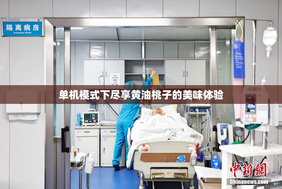 单机模式下尽享黄油桃子的美味体验