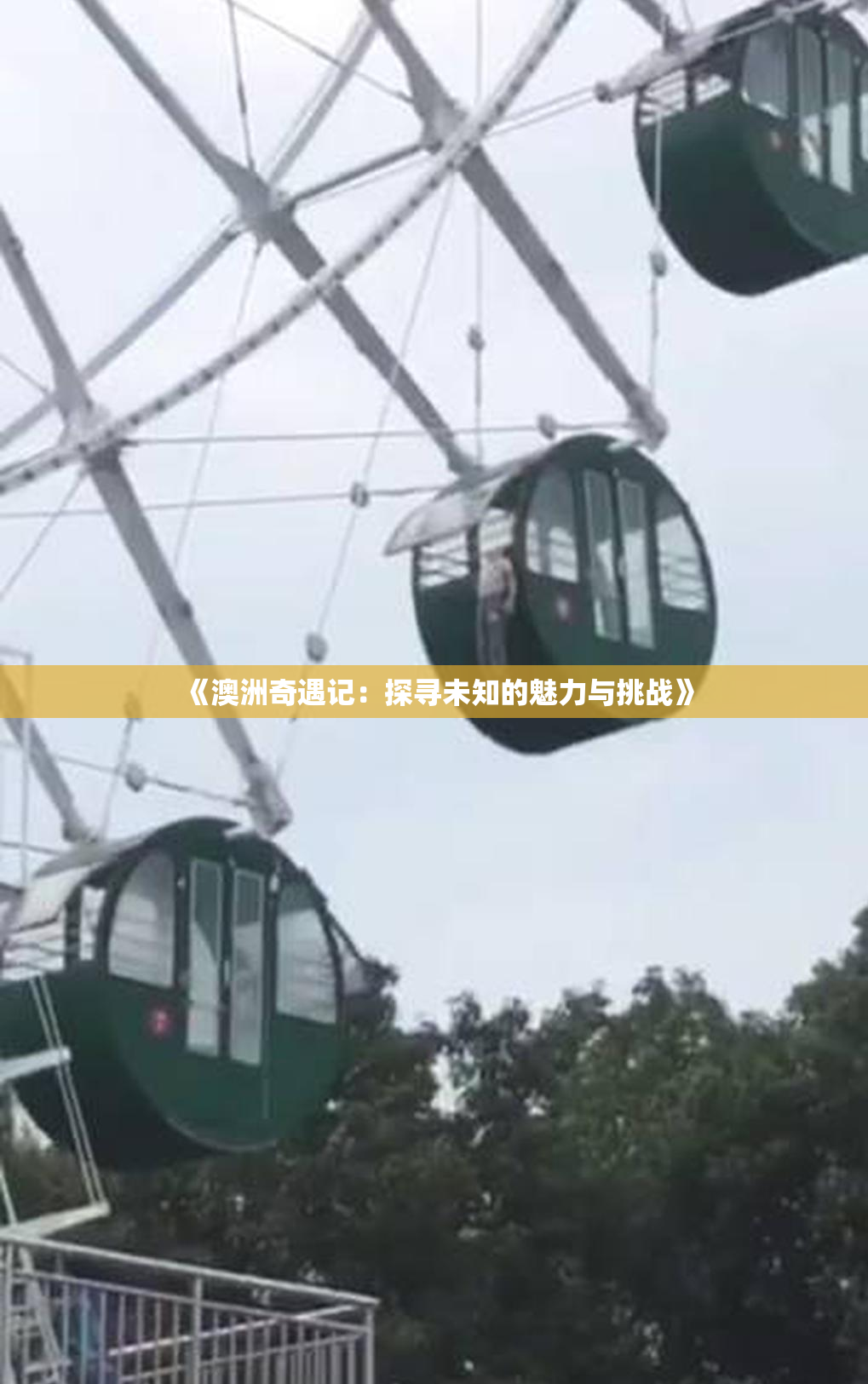 《澳洲奇遇记：探寻未知的魅力与挑战》