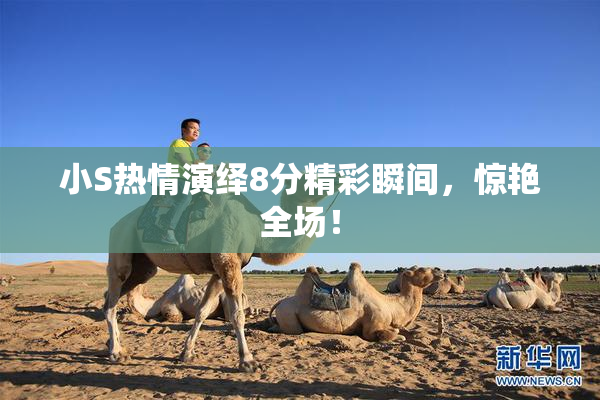小S热情演绎8分精彩瞬间，惊艳全场！