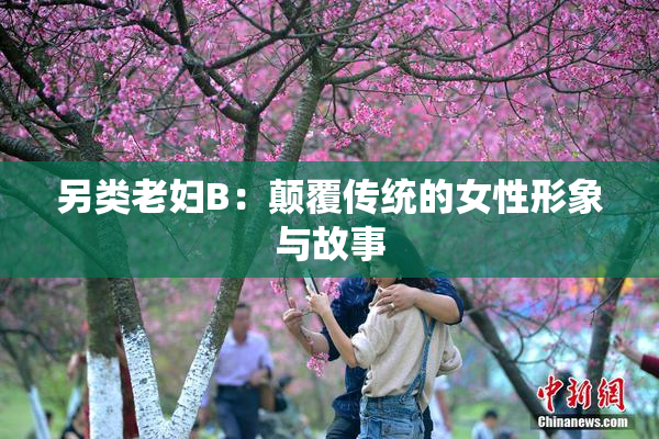 另类老妇B：颠覆传统的女性形象与故事
