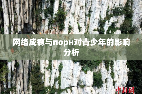 网络成瘾与порн对青少年的影响分析