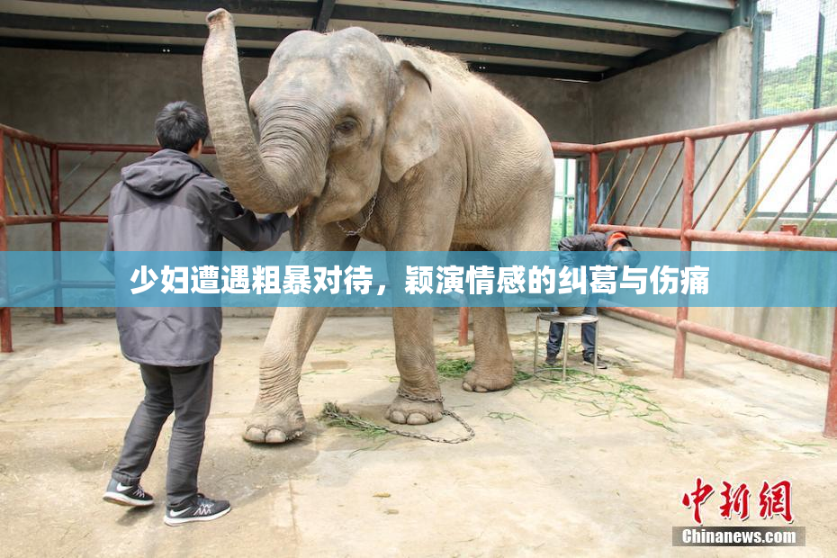 少妇遭遇粗暴对待，颖演情感的纠葛与伤痛
