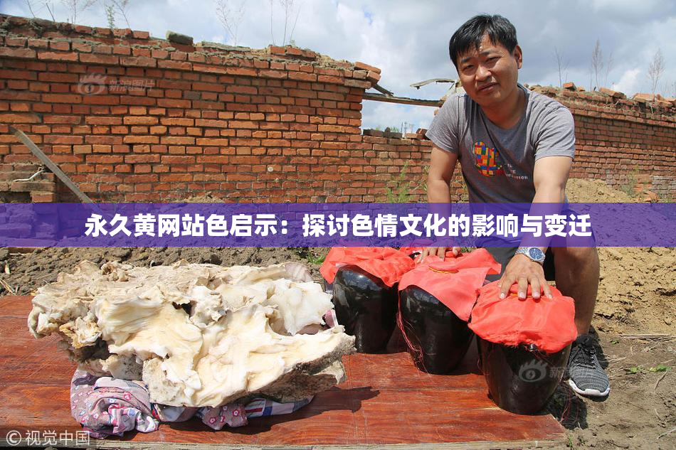永久黄网站色启示：探讨色情文化的影响与变迁