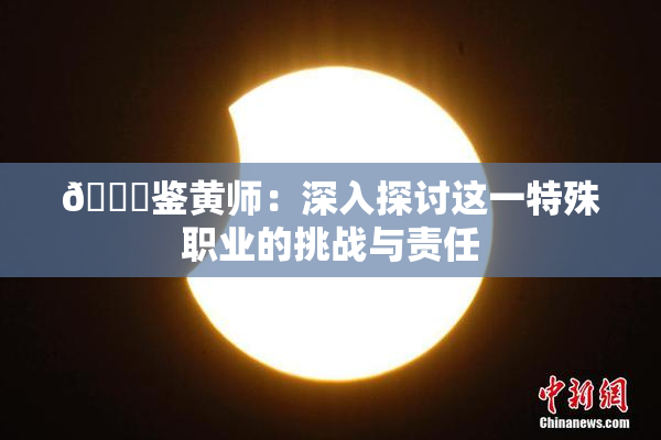 🔞鉴黄师：深入探讨这一特殊职业的挑战与责任