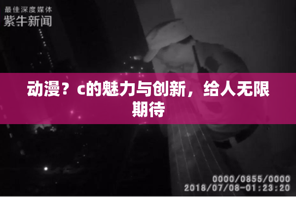 动漫？c的魅力与创新，给人无限期待