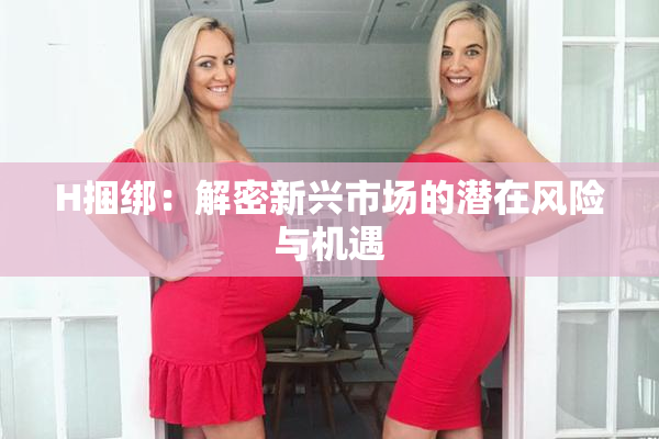 H捆绑：解密新兴市场的潜在风险与机遇
