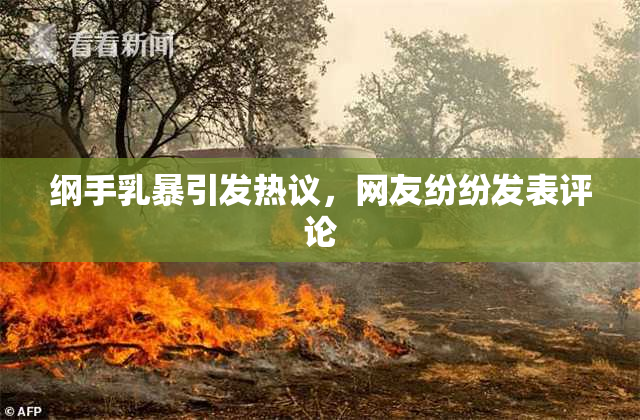 纲手乳暴引发热议，网友纷纷发表评论