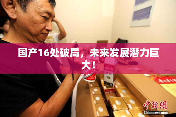 国产16处破局，未来发展潜力巨大！