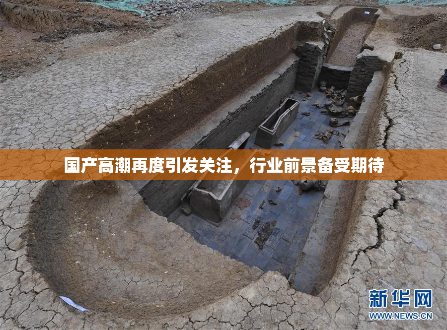 国产高潮再度引发关注，行业前景备受期待