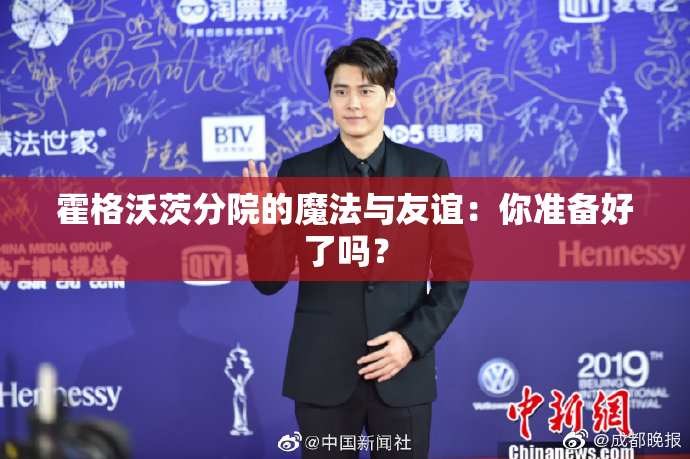 霍格沃茨分院的魔法与友谊：你准备好了吗？