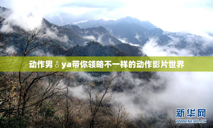 动作男♂ya带你领略不一样的动作影片世界