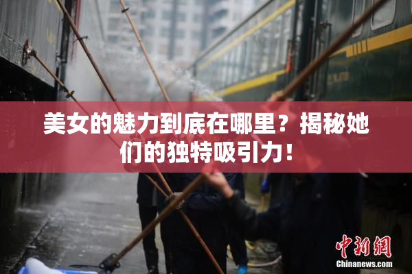 美女的魅力到底在哪里？揭秘她们的独特吸引力！