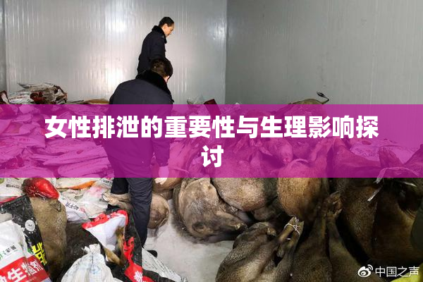 女性排泄的重要性与生理影响探讨