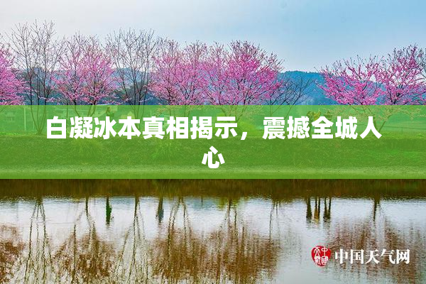 白凝冰本真相揭示，震撼全城人心