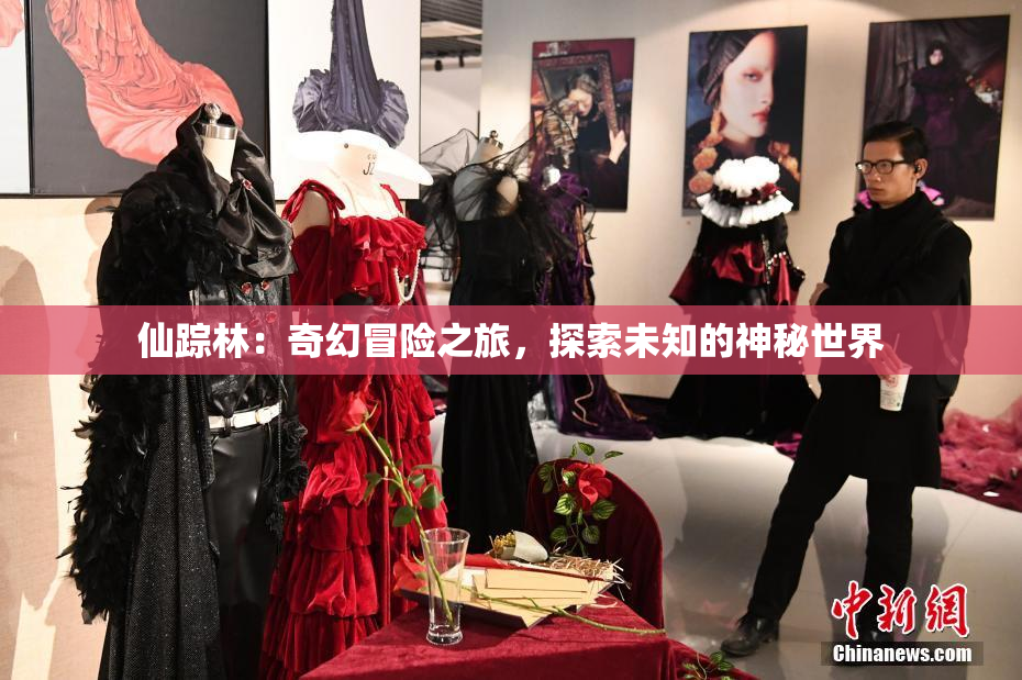 仙踪林：奇幻冒险之旅，探索未知的神秘世界