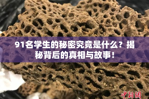 91名学生的秘密究竟是什么？揭秘背后的真相与故事！