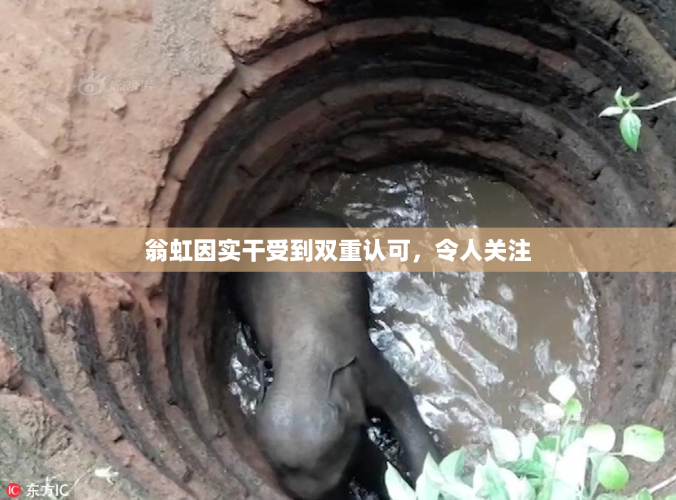 翁虹因实干受到双重认可，令人关注