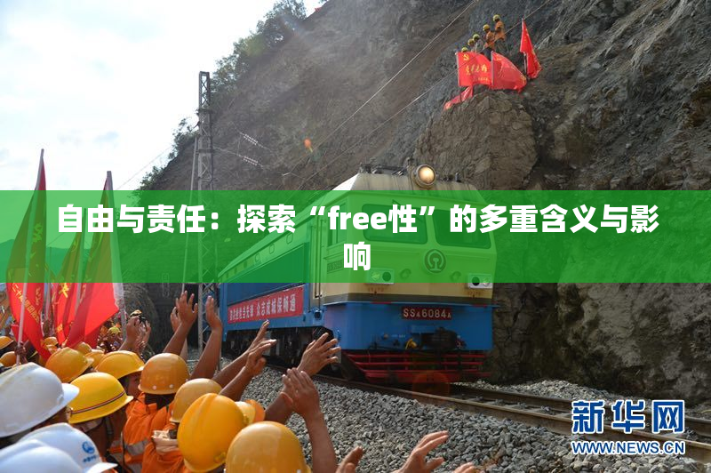 自由与责任：探索“free性”的多重含义与影响