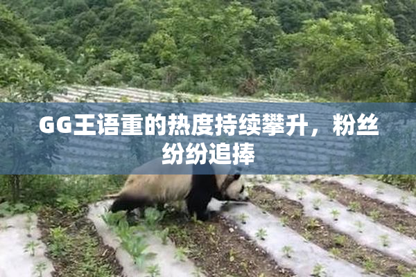 GG王语重的热度持续攀升，粉丝纷纷追捧