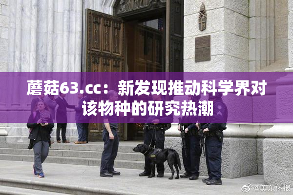 蘑菇63.㏄：新发现推动科学界对该物种的研究热潮