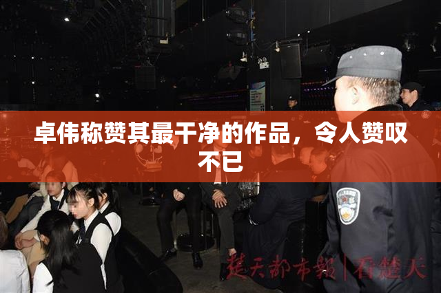 卓伟称赞其最干净的作品，令人赞叹不已