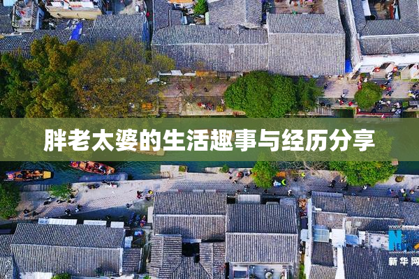 胖老太婆的生活趣事与经历分享