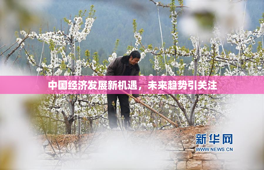 中国经济发展新机遇，未来趋势引关注