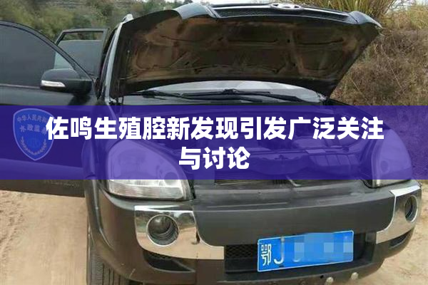 佐鸣生殖腔新发现引发广泛关注与讨论