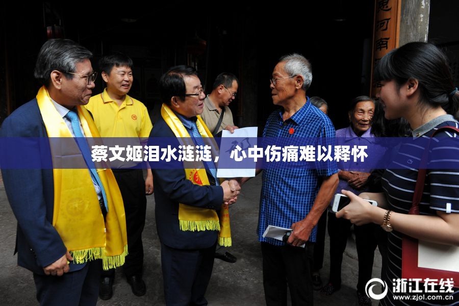 蔡文姬泪水涟涟，心中伤痛难以释怀