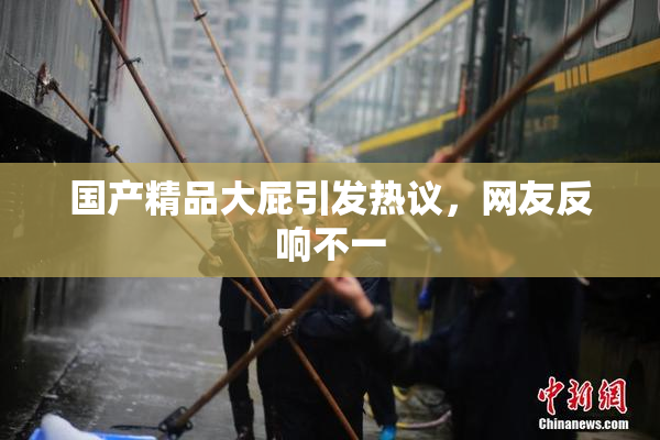 国产精品大屁引发热议，网友反响不一