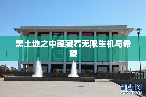 黑土地之中蕴藏着无限生机与希望