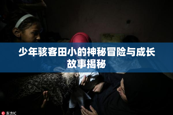 少年骇客田小的神秘冒险与成长故事揭秘