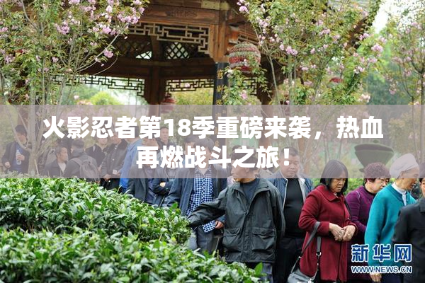 火影忍者第18季重磅来袭，热血再燃战斗之旅！