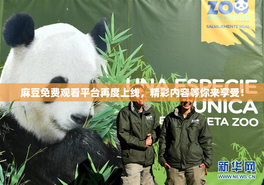 麻豆免费观看平台再度上线，精彩内容等你来享受！