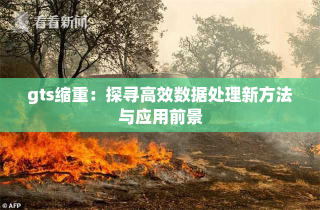 gts缩重：探寻高效数据处理新方法与应用前景