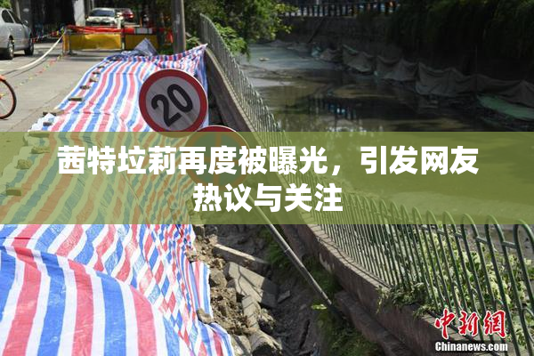 茜特垃莉再度被曝光，引发网友热议与关注