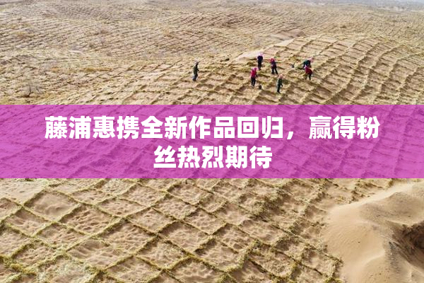 藤浦惠携全新作品回归，赢得粉丝热烈期待