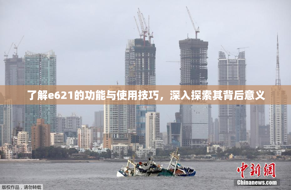 了解e621的功能与使用技巧，深入探索其背后意义