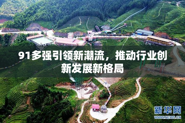 91多强引领新潮流，推动行业创新发展新格局