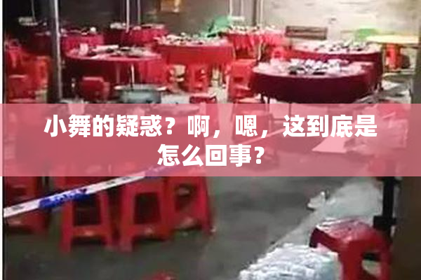 小舞的疑惑？啊，嗯，这到底是怎么回事？