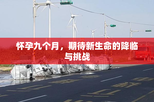 怀孕九个月，期待新生命的降临与挑战