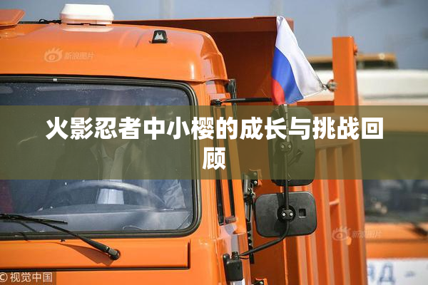 火影忍者中小樱的成长与挑战回顾